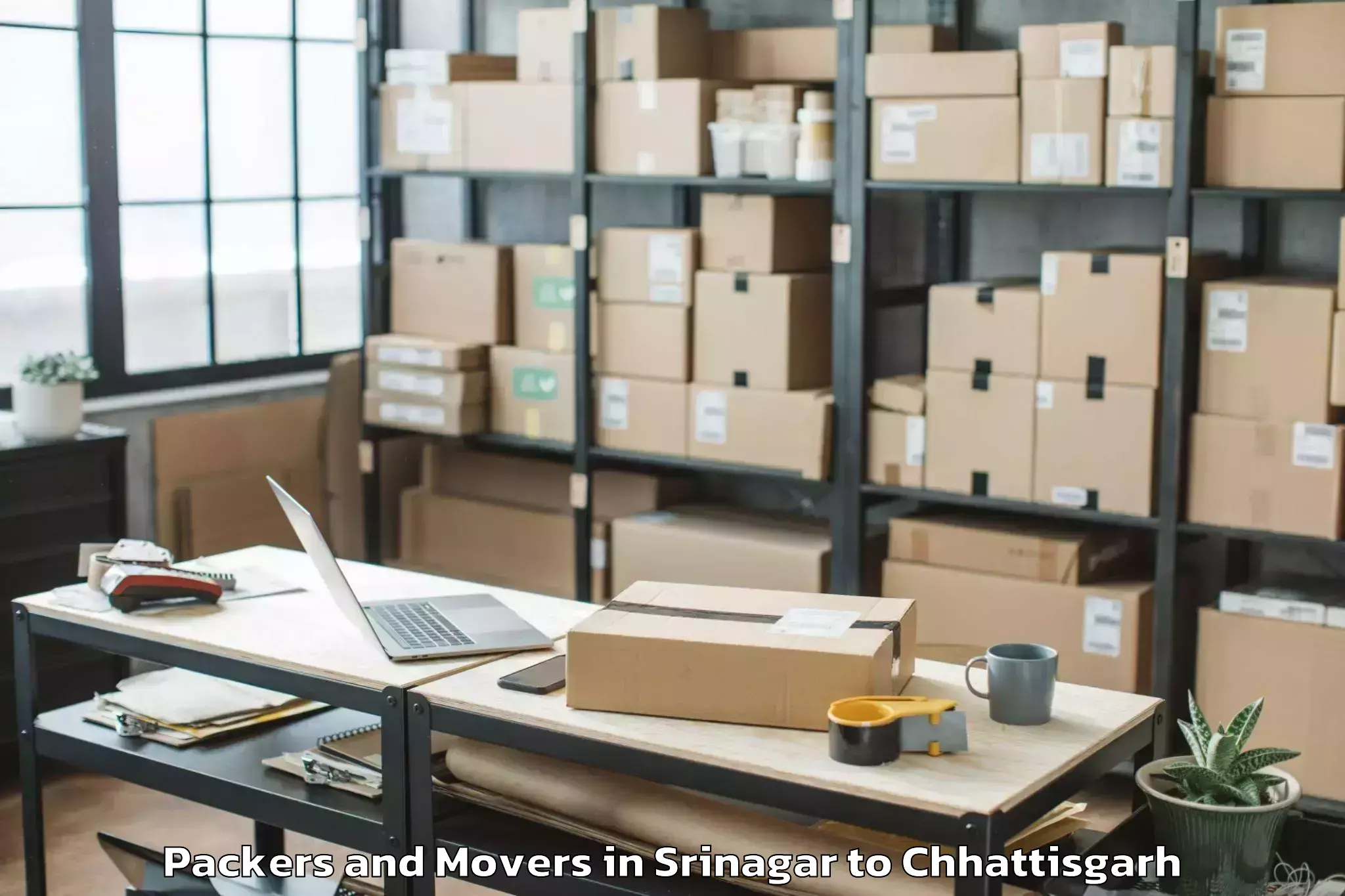 Professional Srinagar to Simga Packers And Movers